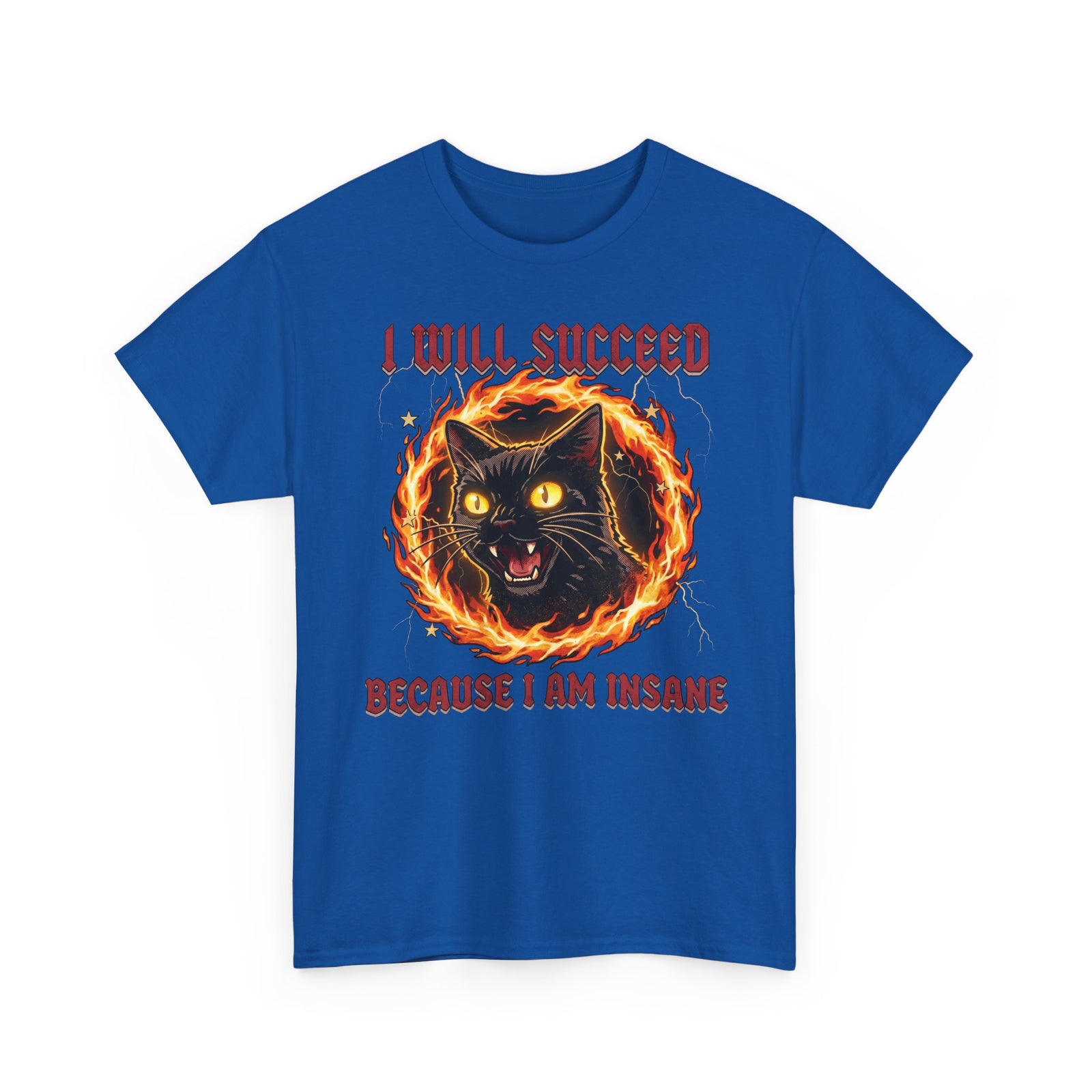 I Will Succeed Because I Am Insane T-Shirt — Heavy Metal Black Cat Graphic Tee