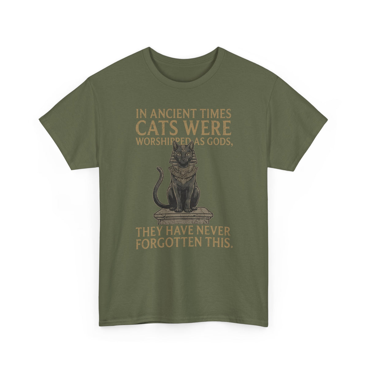 In Ancient Times Cats Were Worshipped Gods T-Shirt