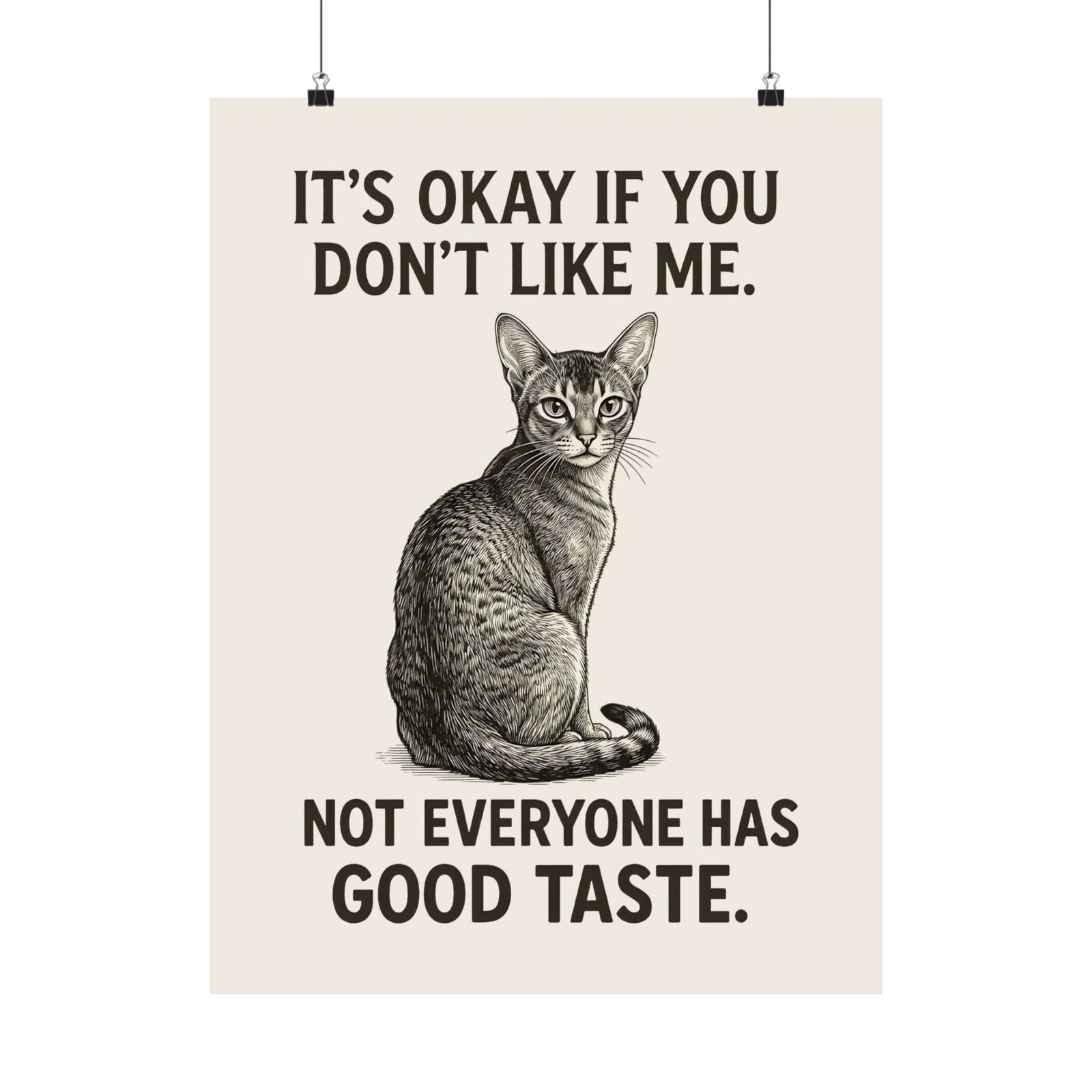 Sassy Cat 'It's Okay If You Don't Like Me' Poster