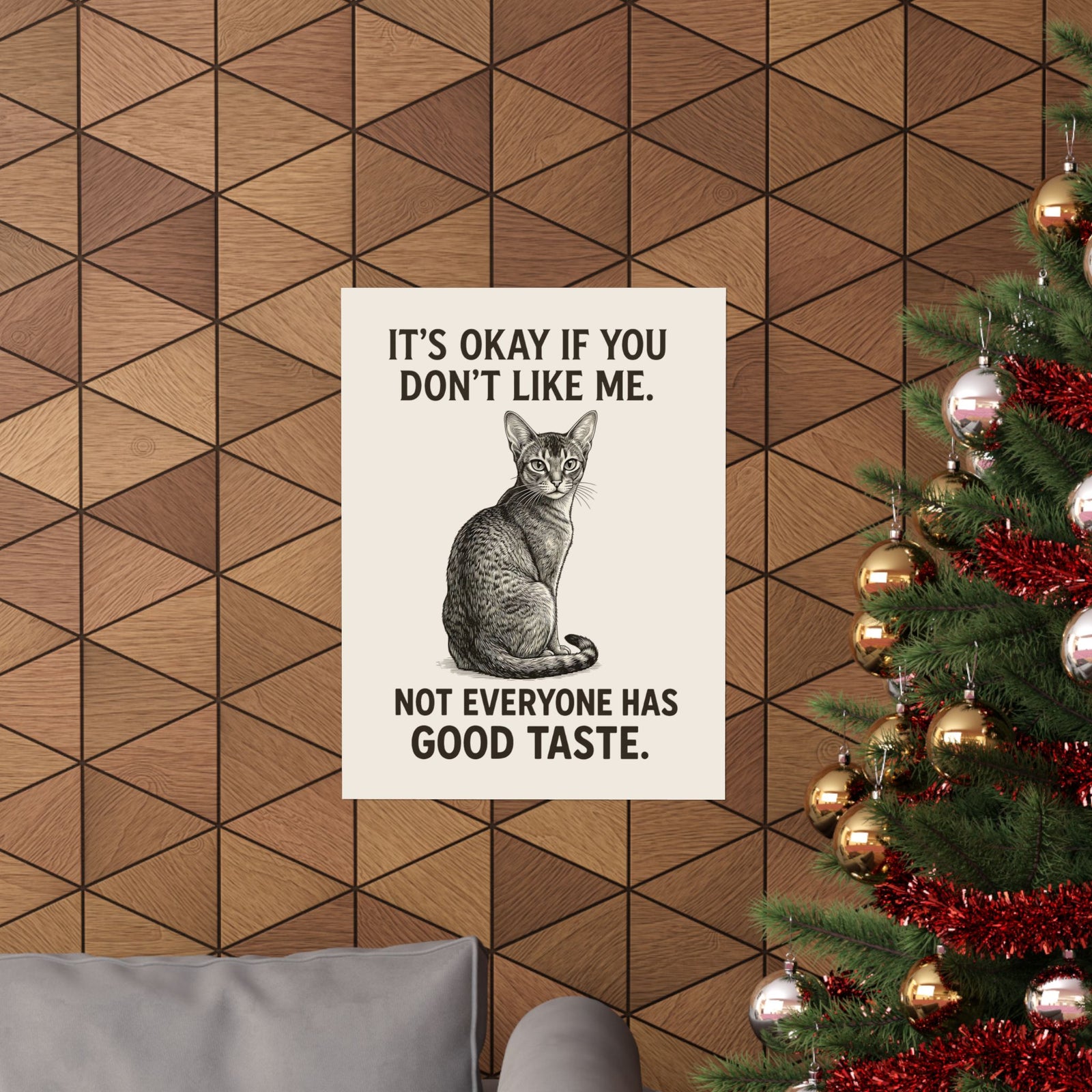Sassy Cat 'It's Okay If You Don't Like Me' Poster