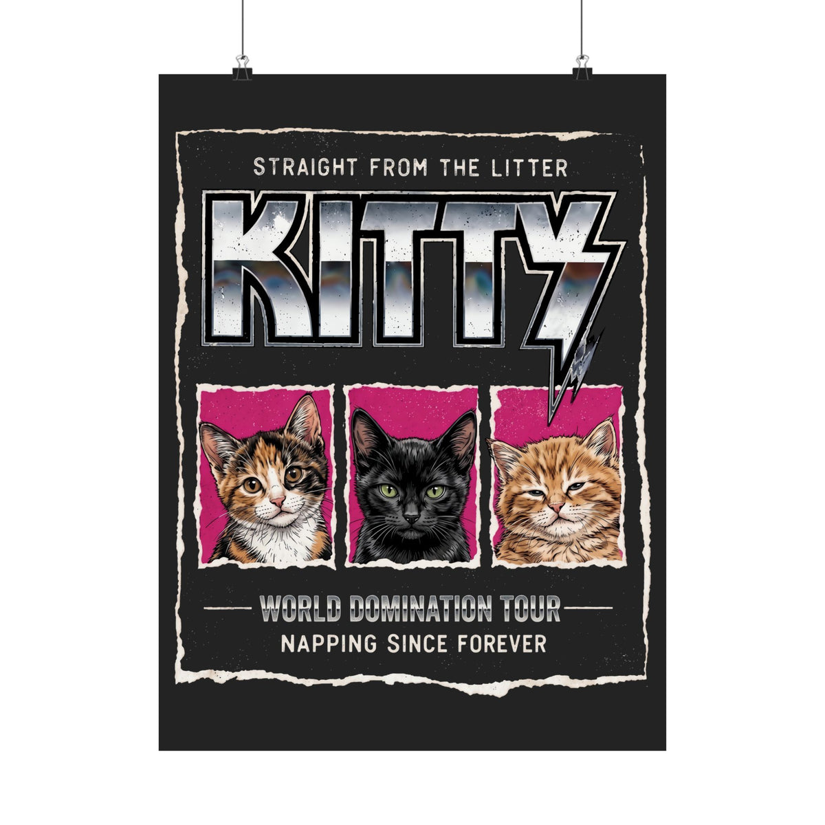 Straight From the Litter Kitty Poster Funny Cat Lover Poster