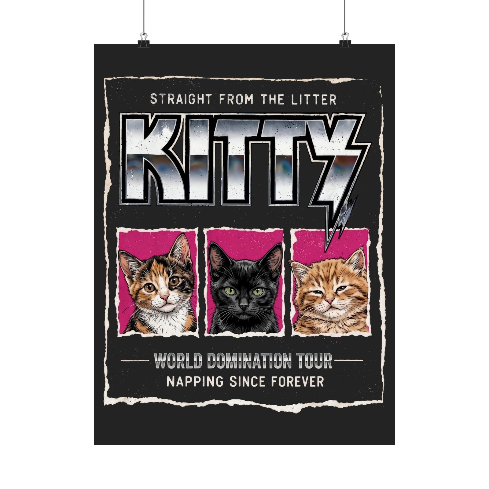 Straight From the Litter Kitty Poster Funny Cat Lover Poster