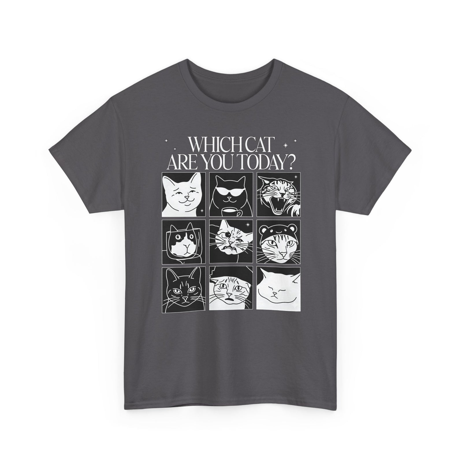 Which Cat You Choose Today T-Shirt — Playful Cat Lover Graphic Tee