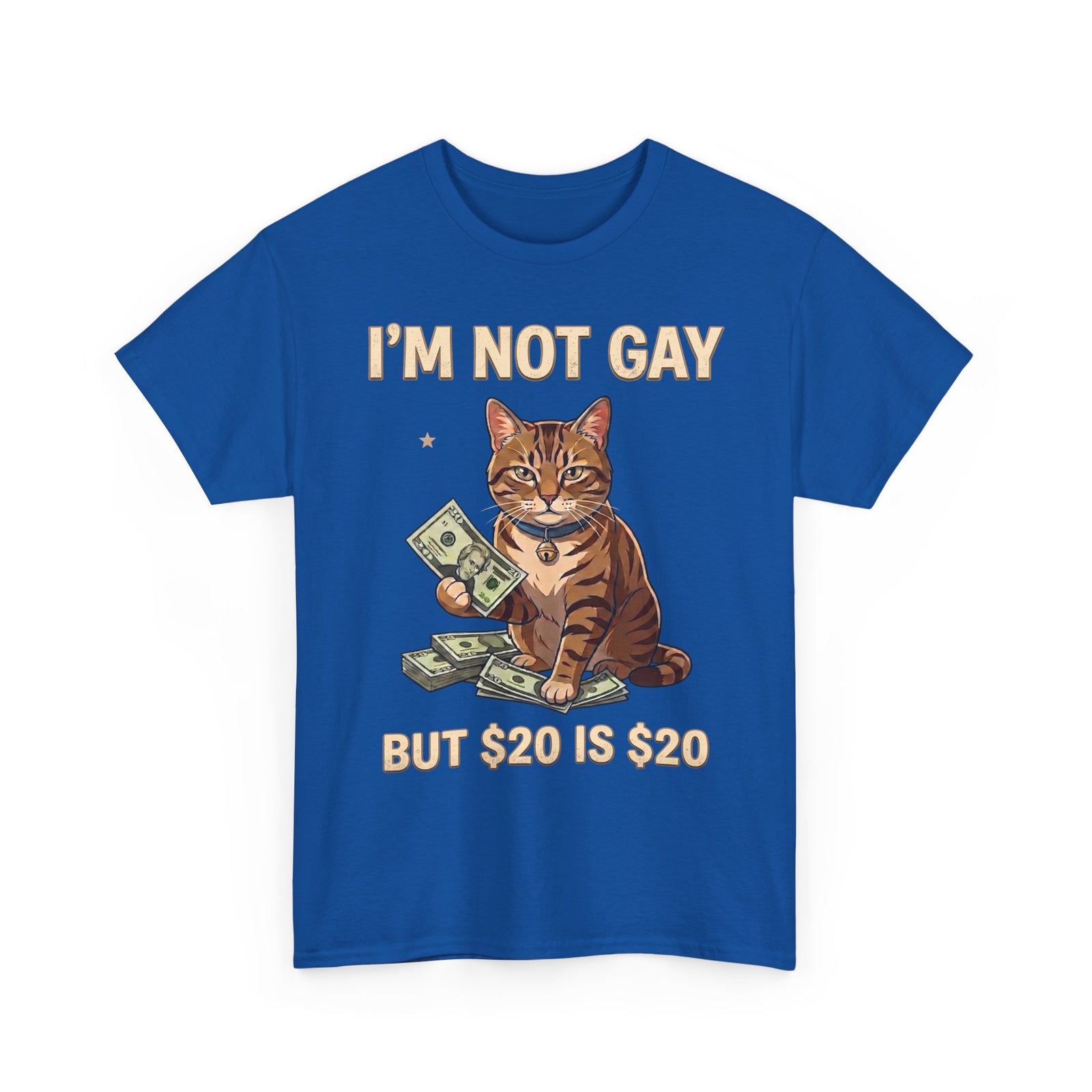 I'm Not Gay But $20 Is $20 T-Shirt — Funny Cat Cash Meme Tee