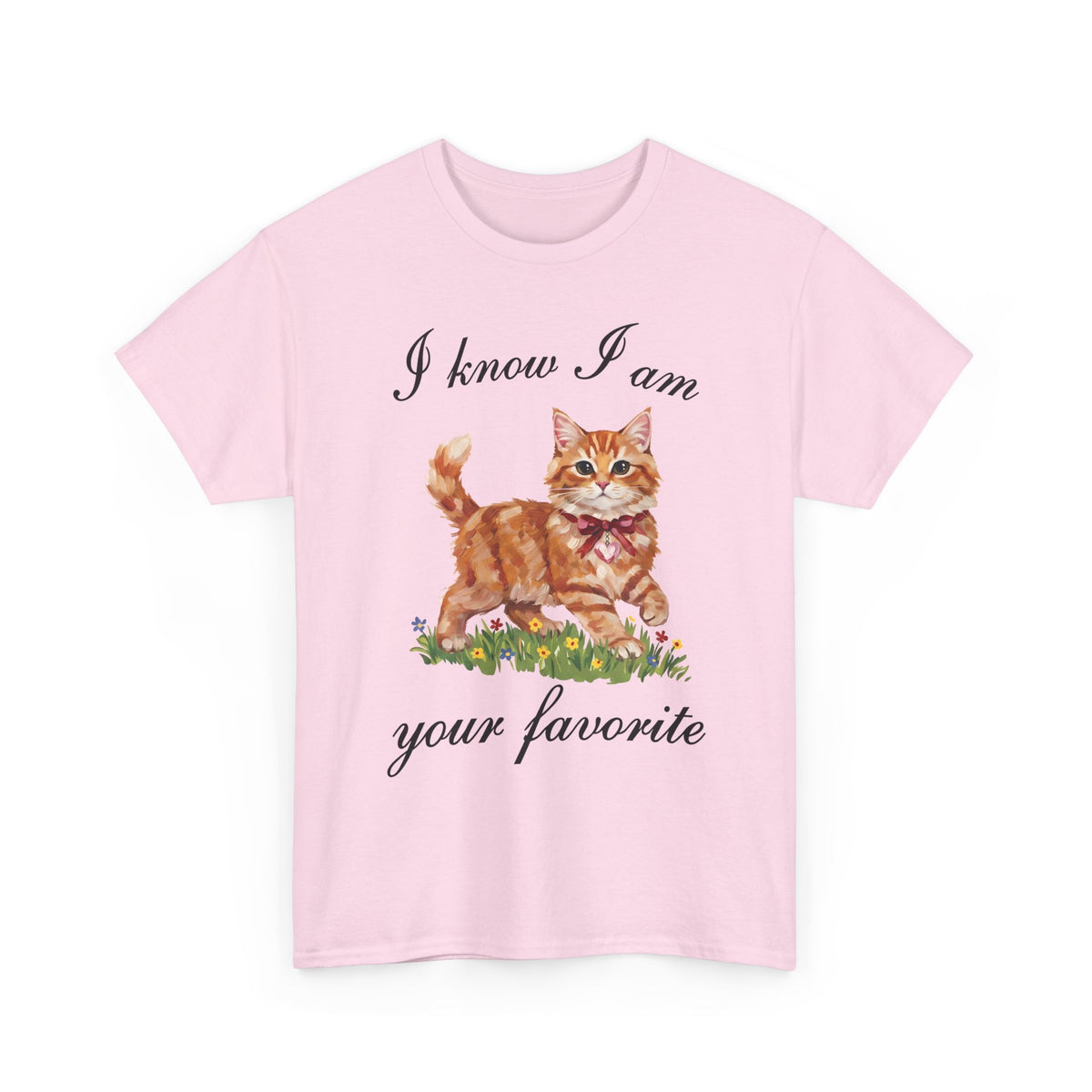 I Know I Am Your Favorite T-Shirt — Funny Sassy Orange Cat Tee