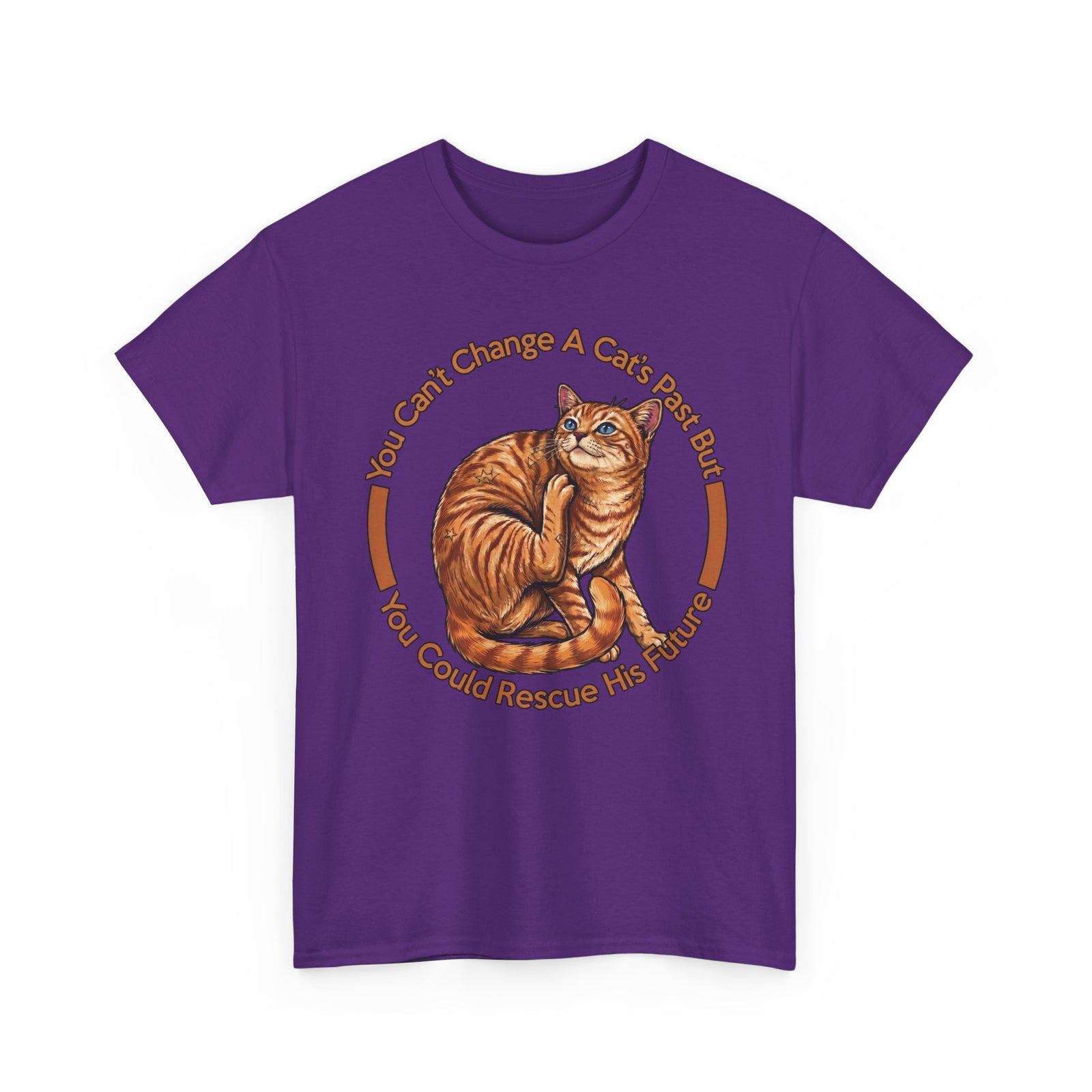 Rescue Cat T-Shirt — You Can't Change A Cat's Past Adoption Tee