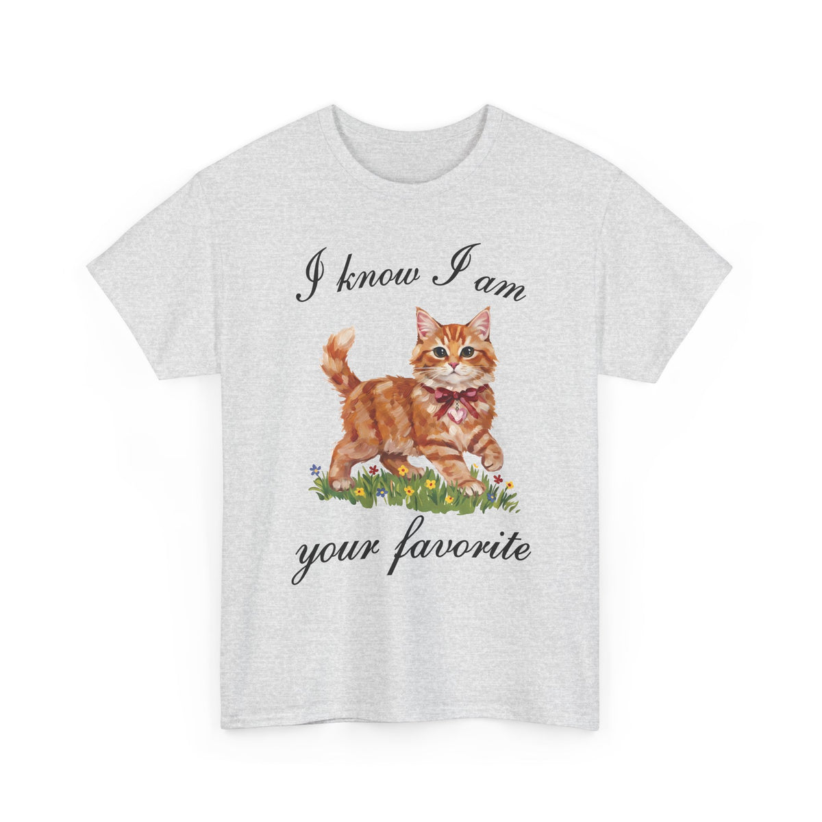 I Know I Am Your Favorite T-Shirt — Funny Sassy Orange Cat Tee
