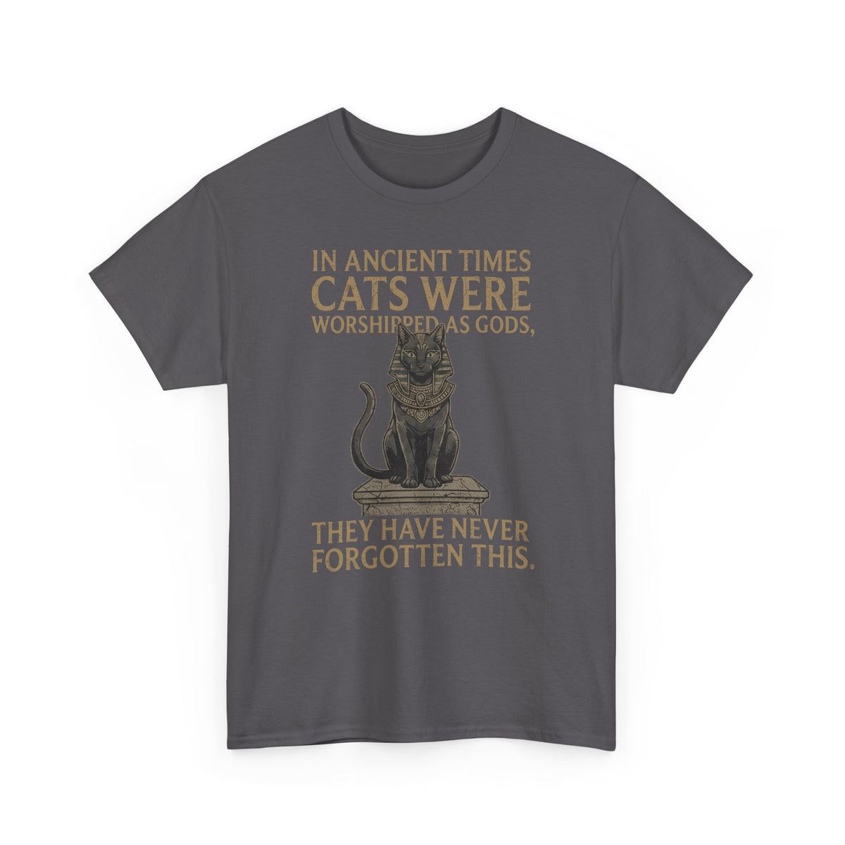 In Ancient Times Cats Were Worshipped Gods T-Shirt