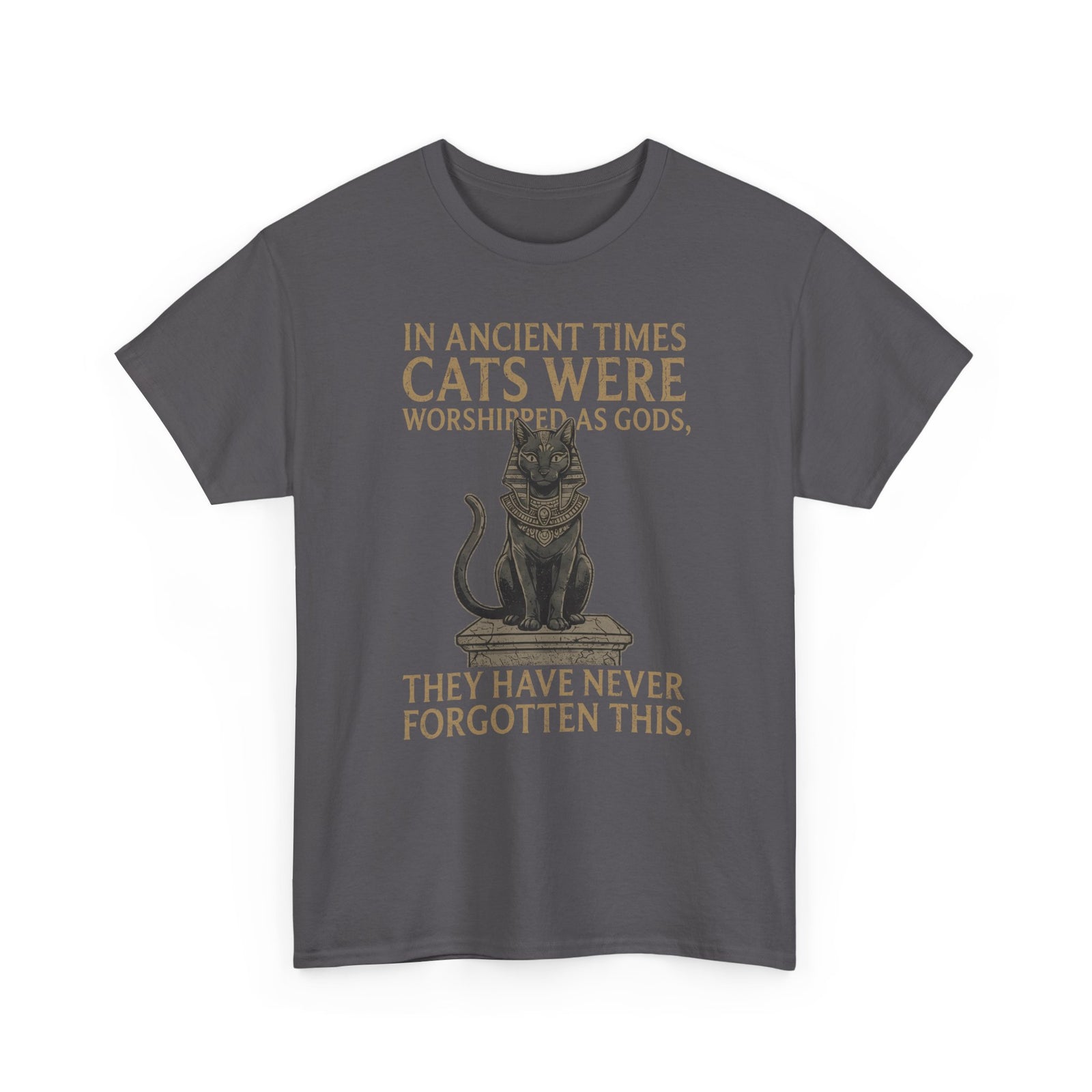 In Ancient Times Cats Were Worshipped Gods T-Shirt