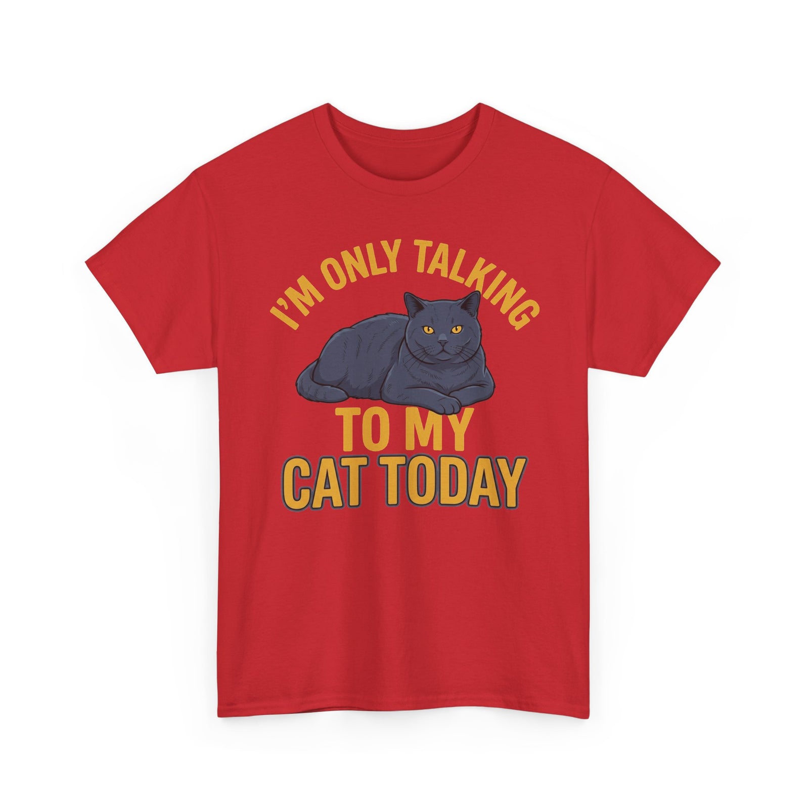 I'm Only Talking To My Cat Today T-Shirt