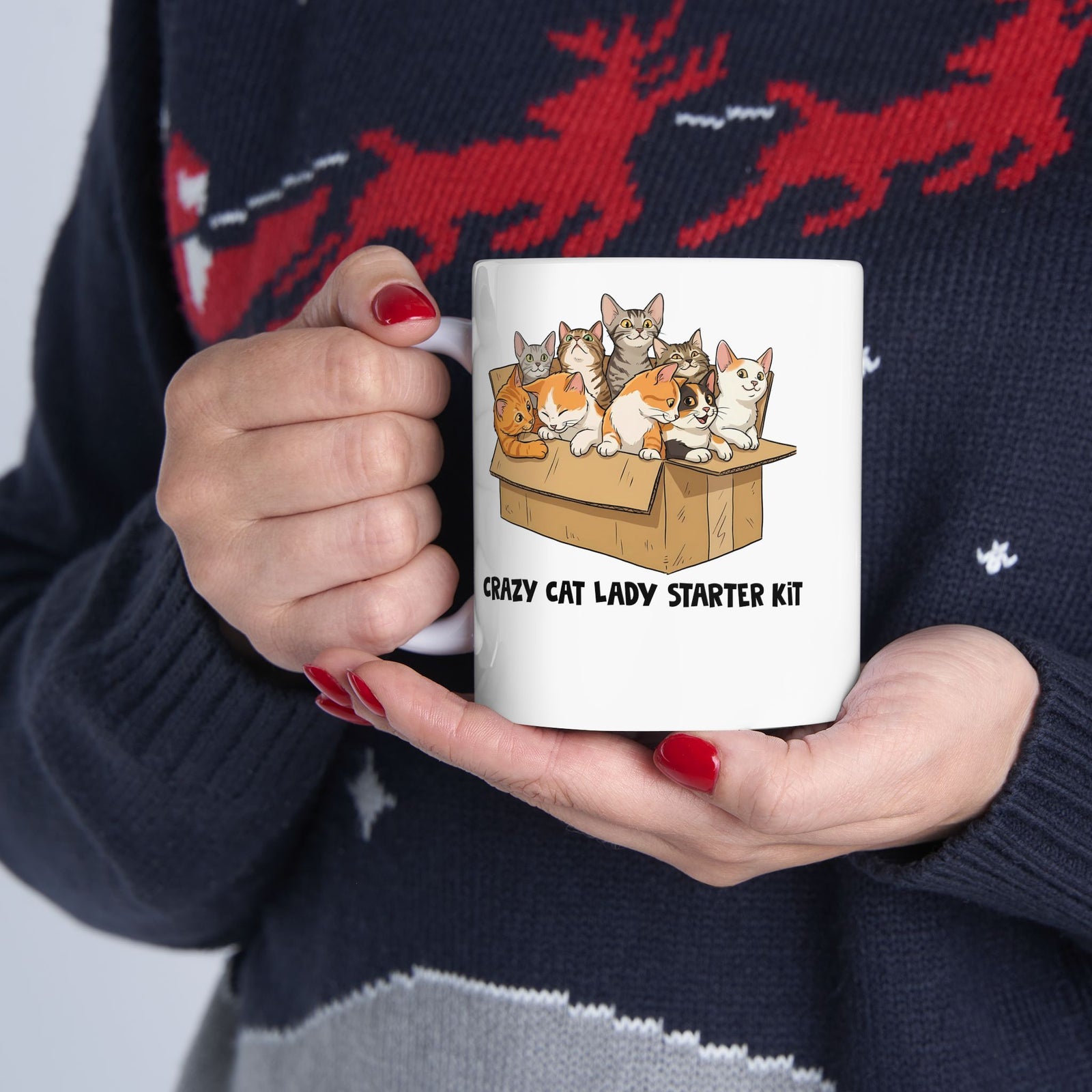 Crazy Cat Lady Starter Kit Ceramic Mug