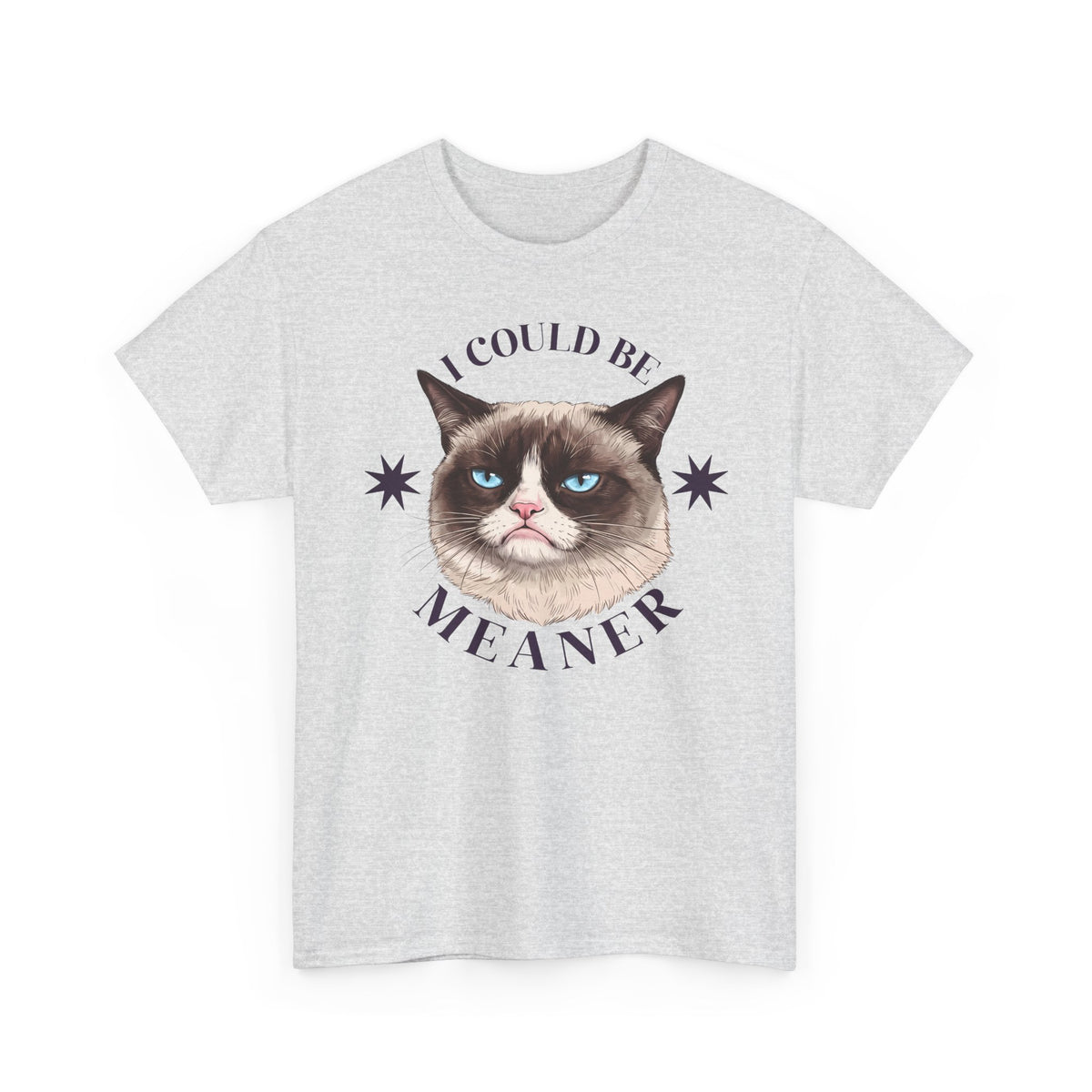 I Could Be Meaner T-Shirt — Funny Grumpy Cat Graphic Tee