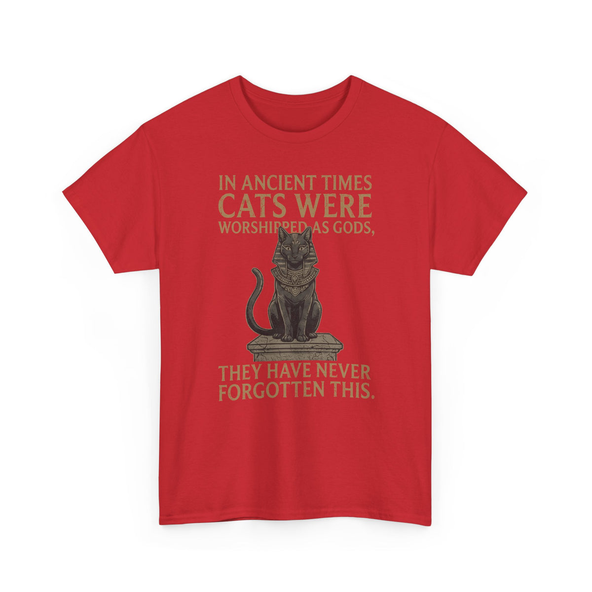 In Ancient Times Cats Were Worshipped Gods T-Shirt
