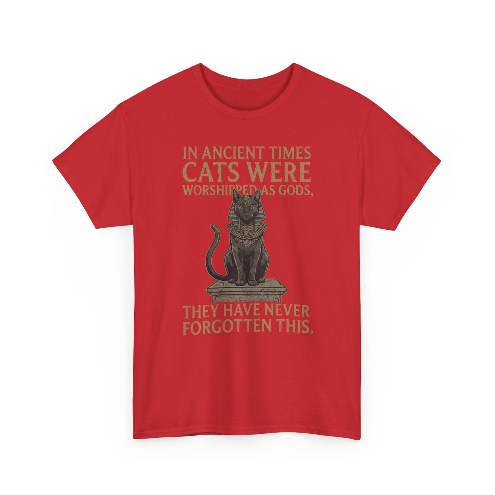 In Ancient Times Cats Were Worshipped Gods T-Shirt