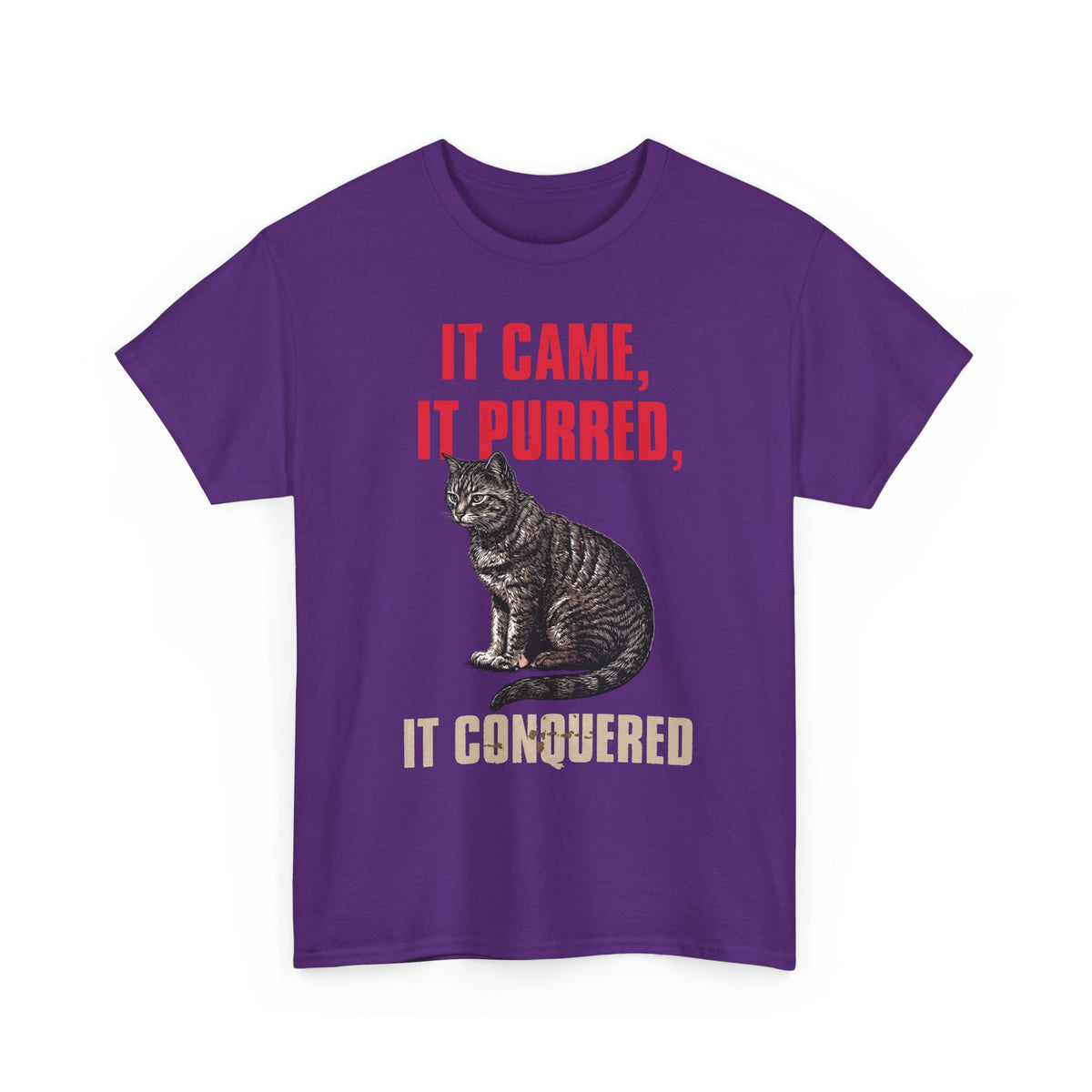 It Came It Purred It Conquered T-Shirt — Funny Julius Caesar Cat Parody Tee