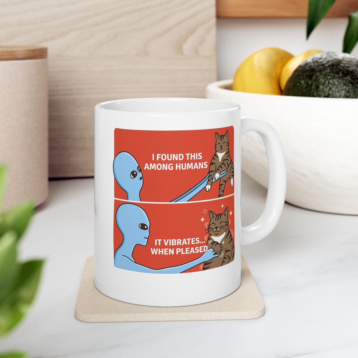 I Found a Cat Ceramic Mug — Cute Cat Lover Graphic Mug