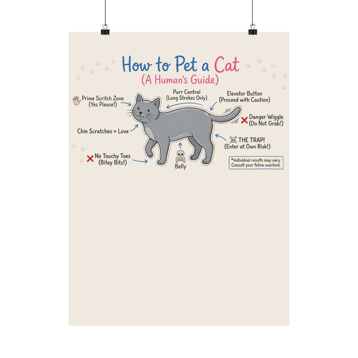 How To Pet A Cat Poster — Funny Cat Care Poster for Cat Lovers