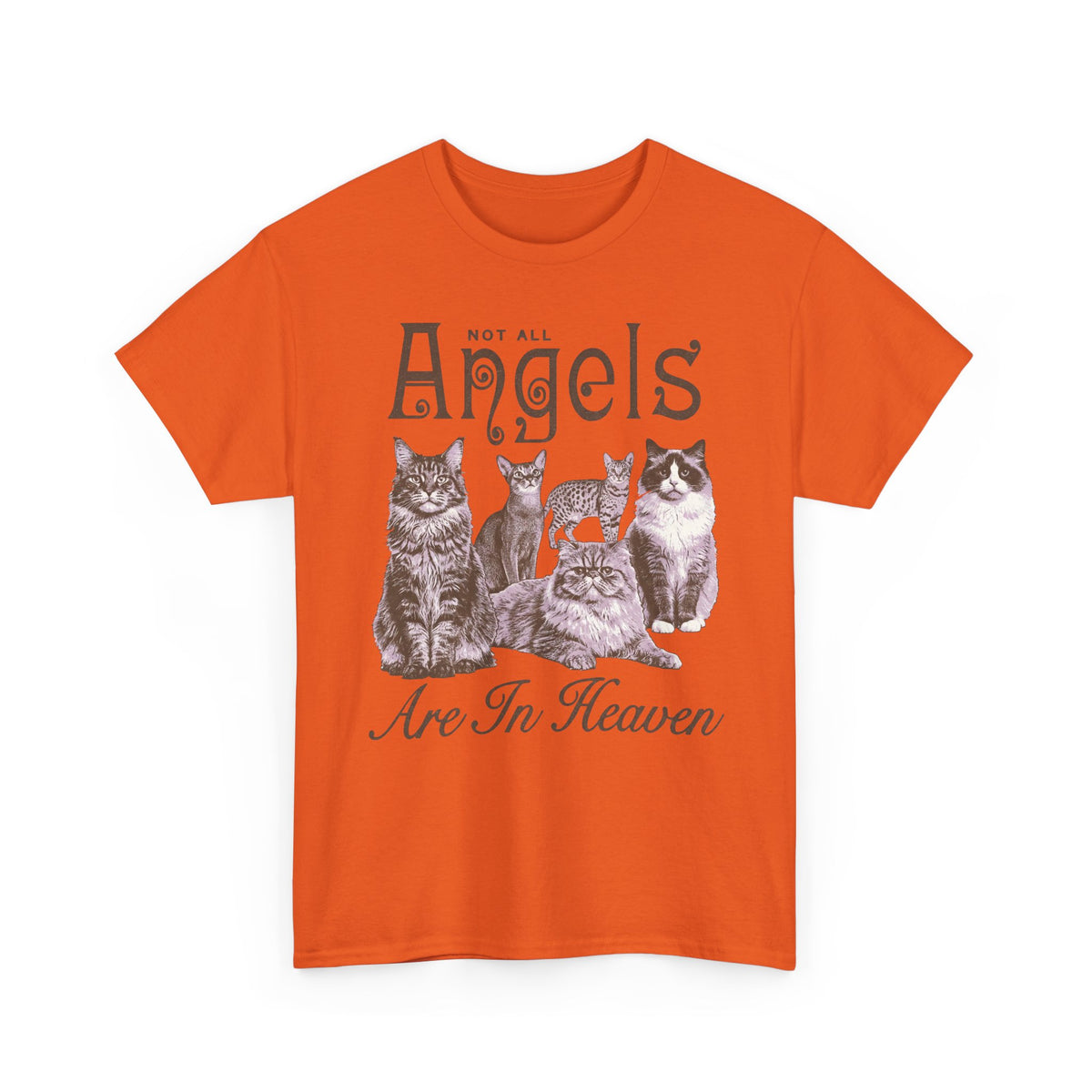 Not All Angels Are In Heaven T-Shirt — Cat Lovers Memorial Tee