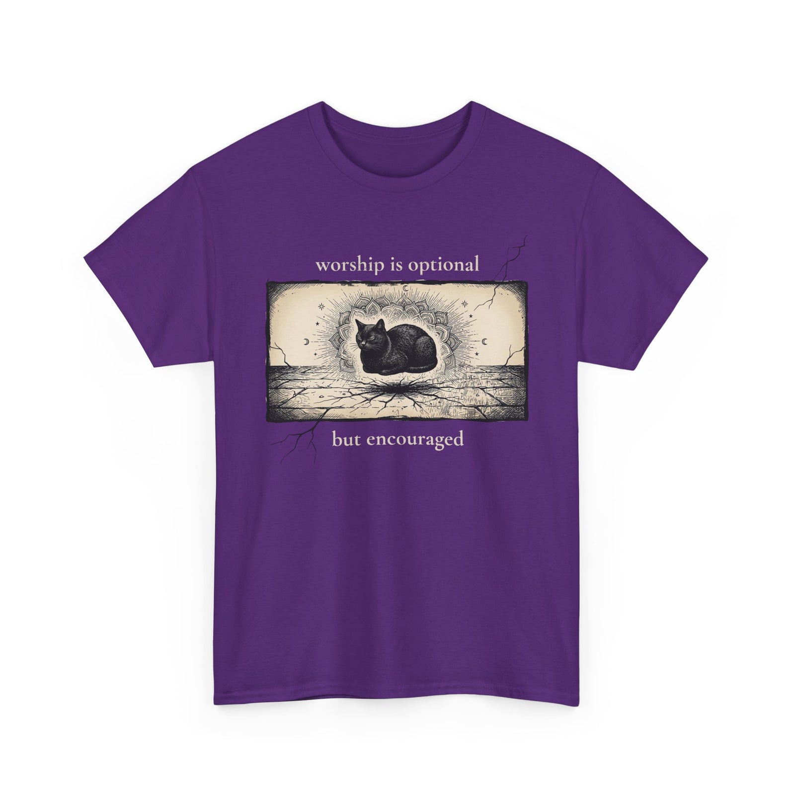 Worship Is Optional But Encouraged Cat T-Shirt