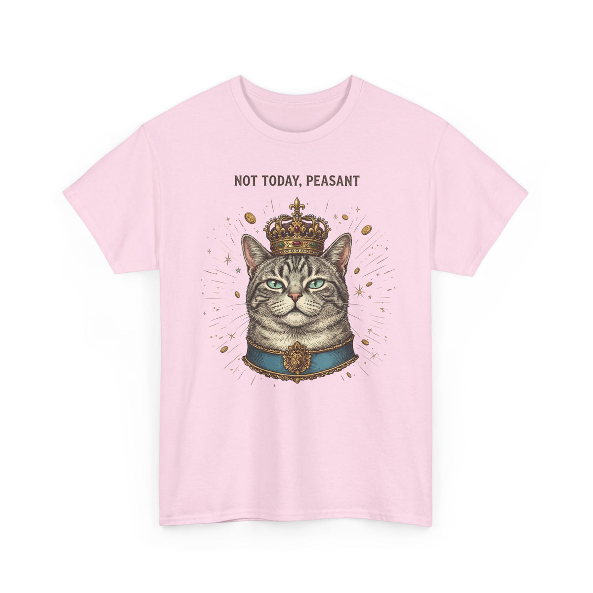 Funny Cat T-Shirt — "Not Today" Graphic Tee