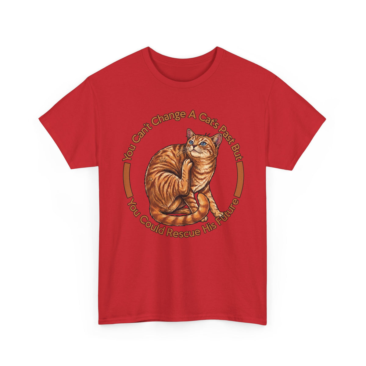 Rescue Cat T-Shirt — You Can't Change A Cat's Past Adoption Tee