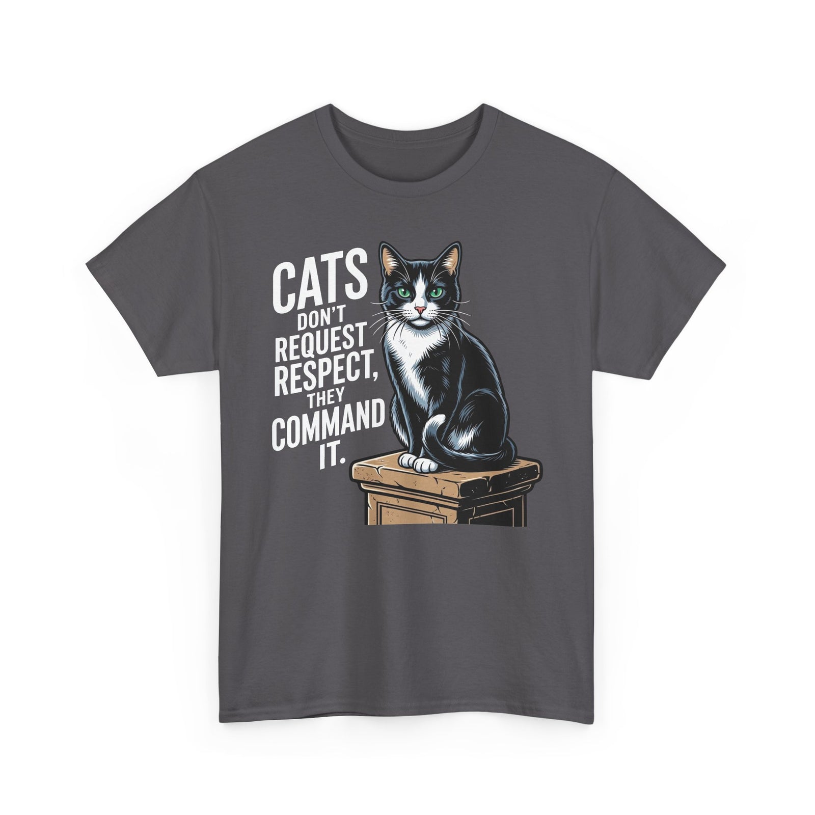 Cats Don’t Request Respect They Command It T‑Shirt — Vintage Black Cat Graphic Tee