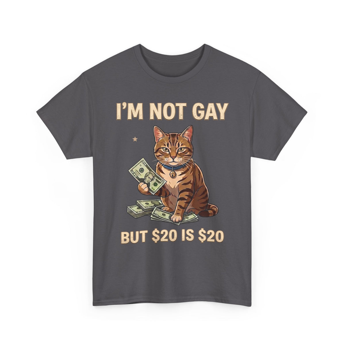 I'm Not Gay But $20 Is $20 T-Shirt — Funny Cat Cash Meme Tee